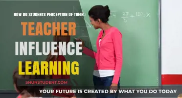 Teacher Perceptions: Shaping Student Learning Outcomes and Classroom Dynamics