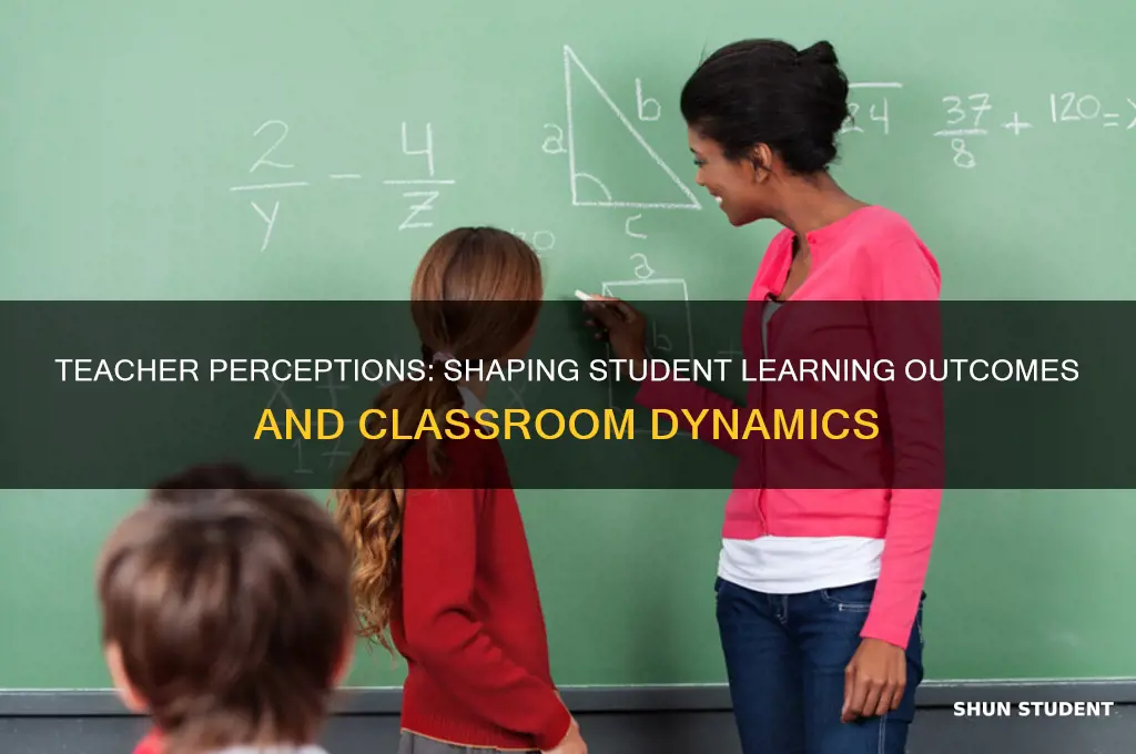 how do students perception of their teacher influence learning