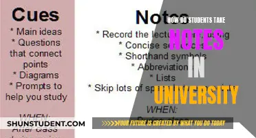 Effective Note-Taking Strategies for University Students