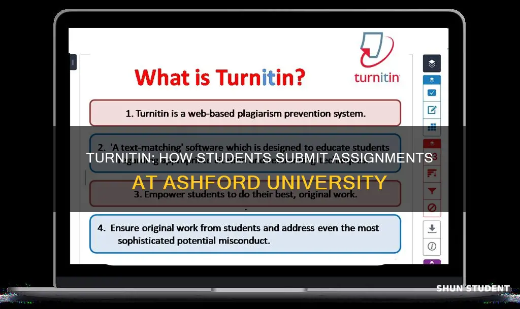 how do students use turnitin ashford university