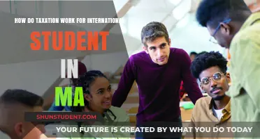International Students: Understanding MA Taxation Laws