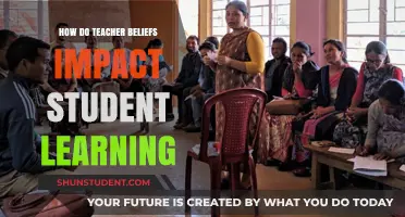 Teacher Beliefs: Shaping Student Learning Outcomes and Classroom Dynamics