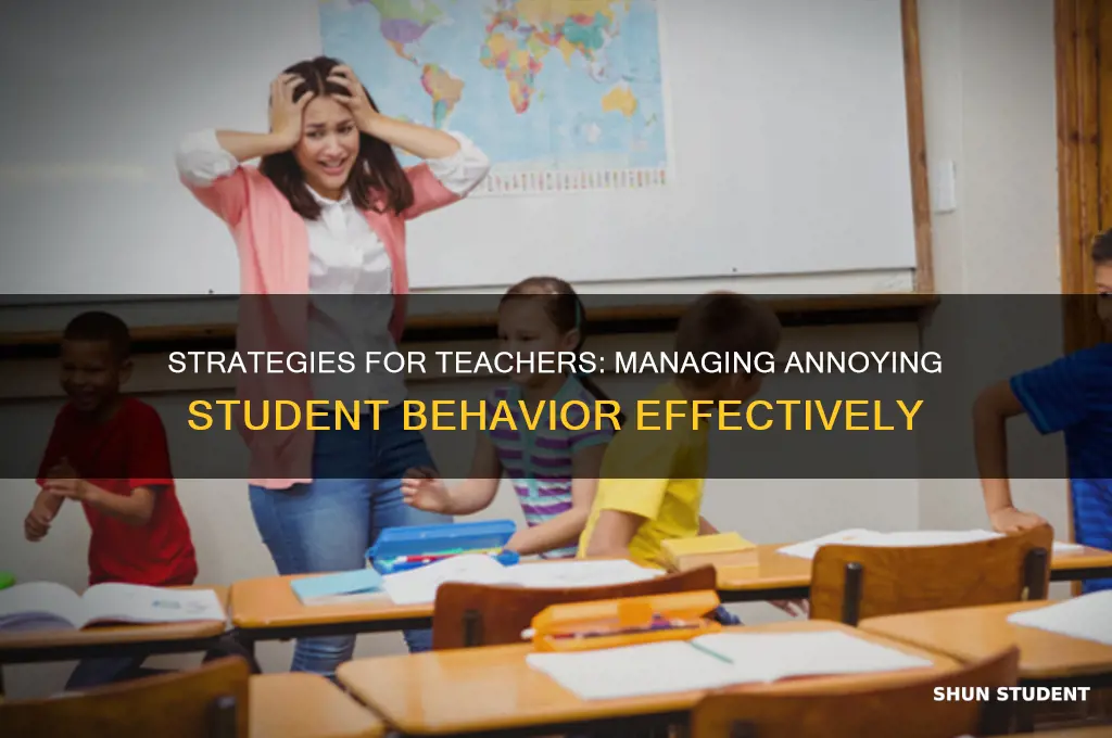 how do teacher deal with annoying students