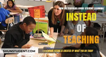 Guiding Student Learning: Teachers as Facilitators, Not Instructors