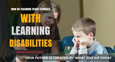 Empowering Learning: Strategies for Teaching Students with Disabilities