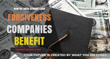 Unveiling the Profits: How Student Loan Forgiveness Companies Benefit