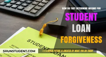 Understanding Income Calculation for Student Loan Forgiveness Programs