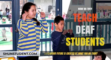 Innovative Strategies for Teaching Deaf Students in Inclusive Classrooms