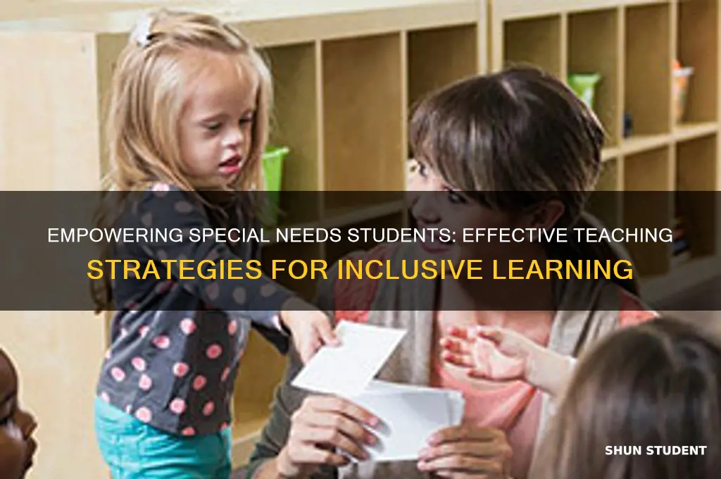 how do u teach a student with special needs