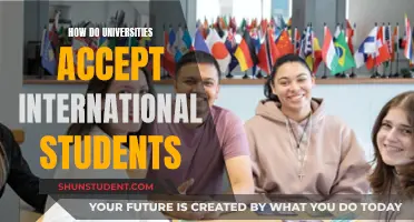 International Student Admissions: University Acceptance Criteria Explained