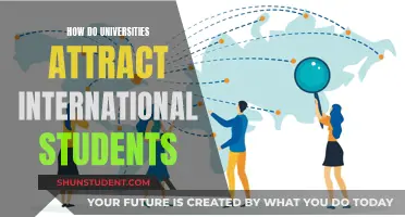 Universities' Strategies to Attract International Students