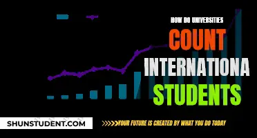 International Student Enrollment: Counting Methods at Universities