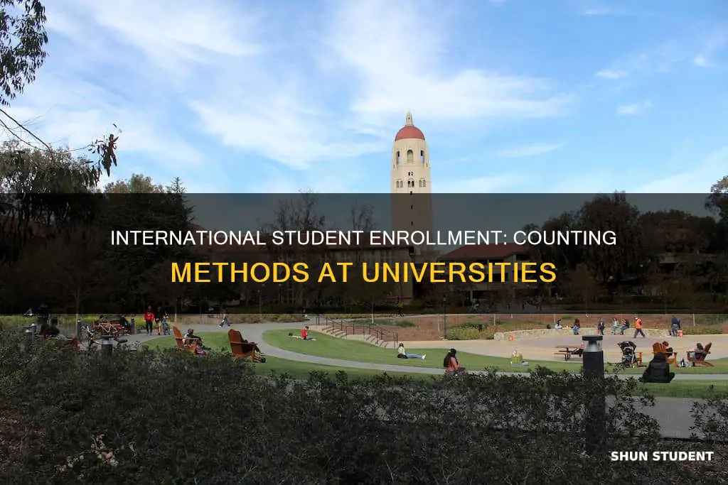 how do universities count international students