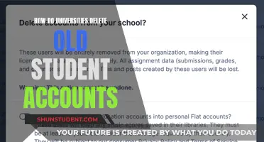 Universities' Approach to Deleting Old Student Accounts