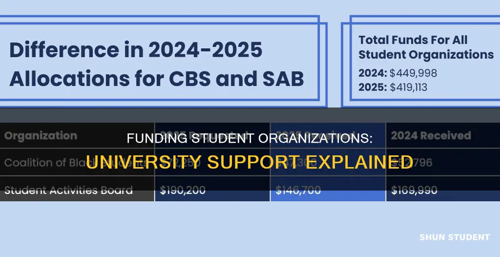how do universities fund student organizations
