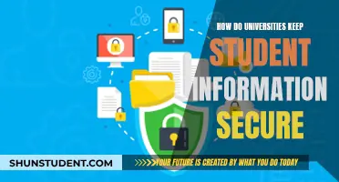 Universities' Strategies for Securing Student Data