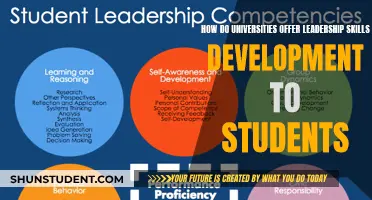 Developing Leaders: University Strategies for Student Success