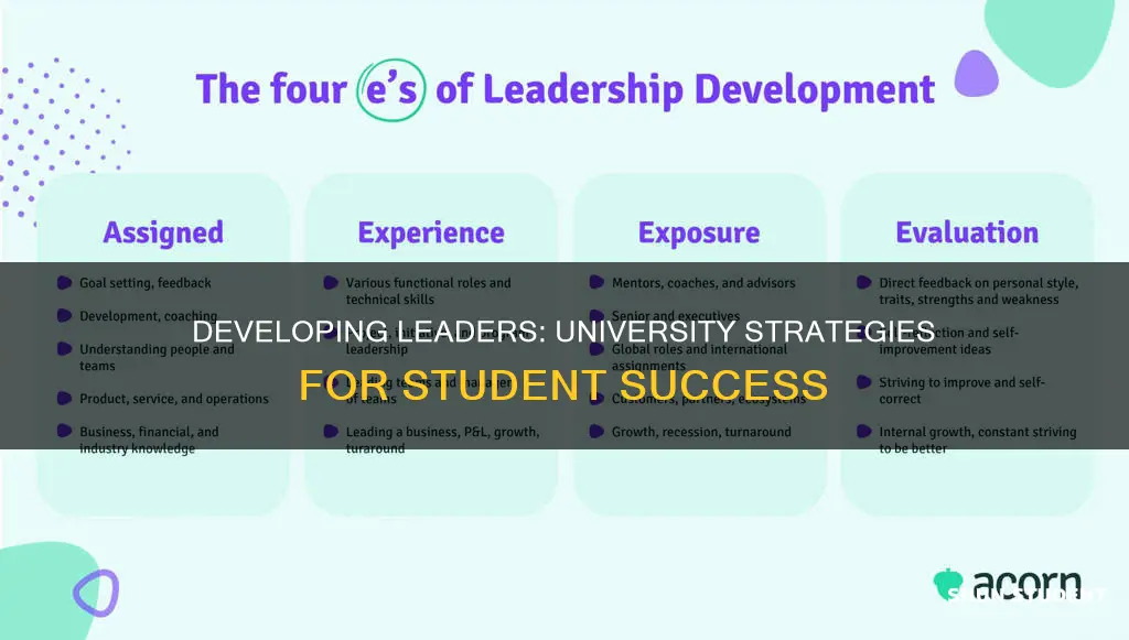 how do universities offer leadership skills development to students