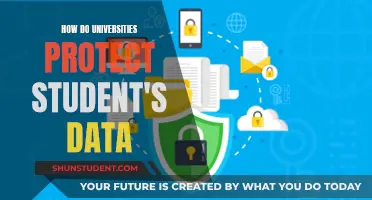 Universities' Student Data Protection: Strategies and Challenges