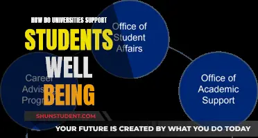 Well-being Support: University Strategies for Student Success