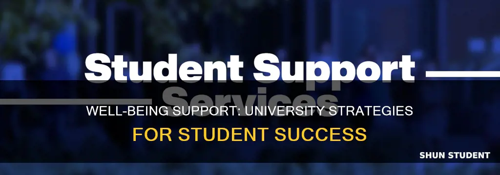 how do universities support students well being