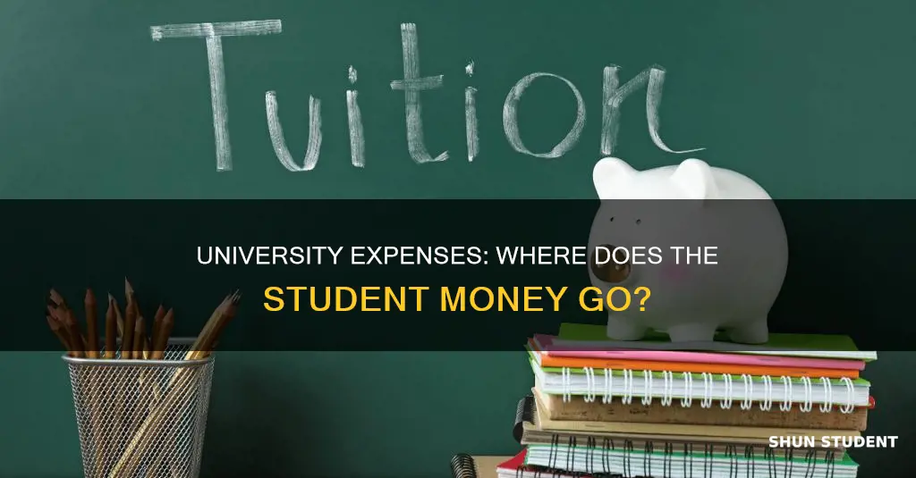 how do universities take out money for students