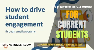 Engaging Current Students: University Email Campaign Strategies