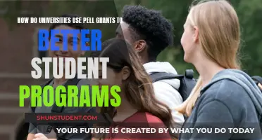 Universities Enhance Student Programs with Pell Grants