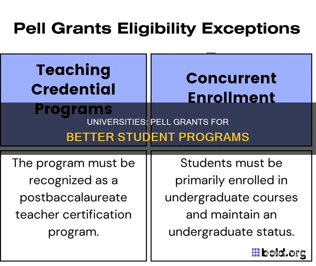 how do universities use pell grants to better student programs