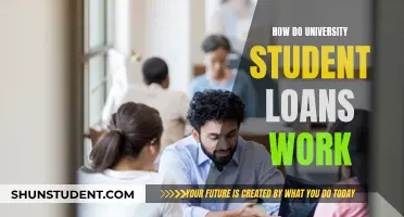 University Student Loans: Understanding the Basics