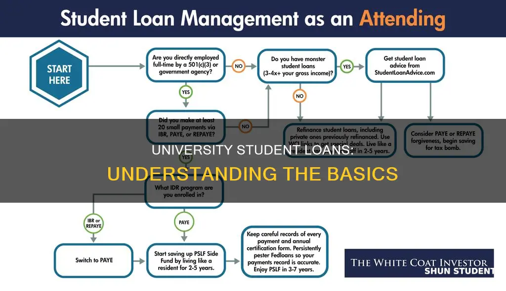 how do university student loans work