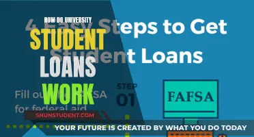 Understanding University Student Loans: A Guide for Beginners