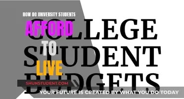 University Students: Surviving the Financial Challenges