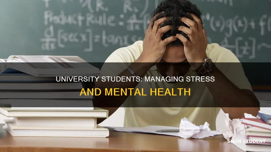 how do university students cope with stress