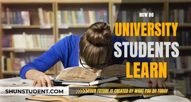 University Students' Learning: Strategies and Challenges