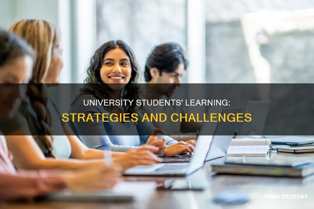 how do university students learn