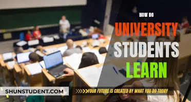 University Students: Learning Strategies and Techniques