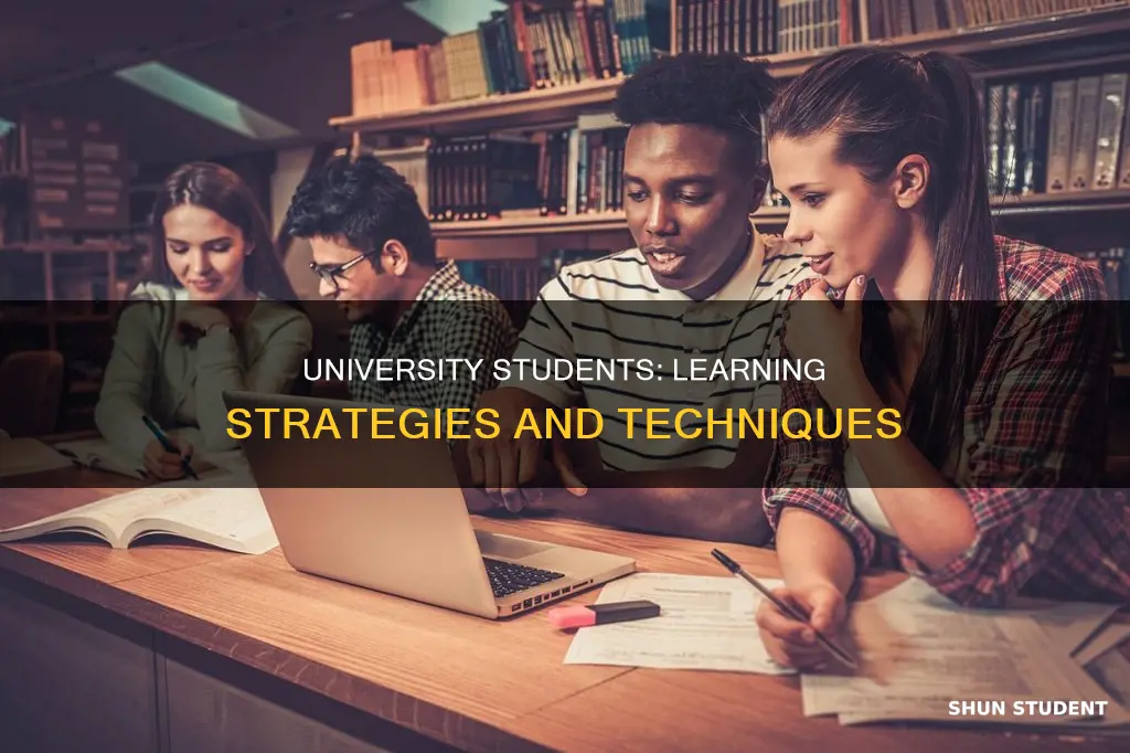 how do university students learn