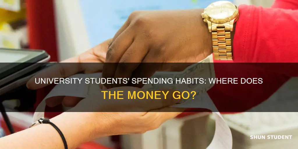 how do university students spend their money