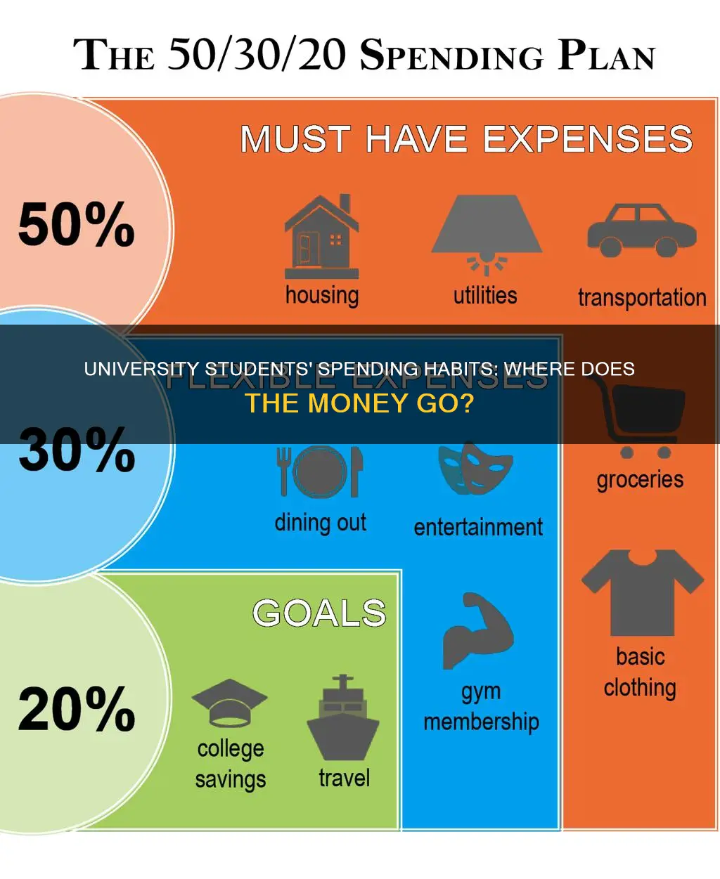 how do university students spend their money