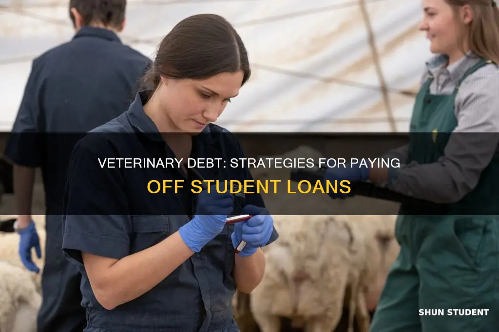how do vet students pay off debt