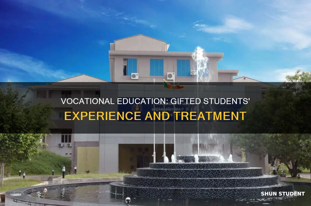 how do vocational universities treat gifted students