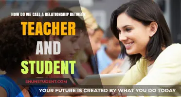The Unique Bond: Understanding the Teacher-Student Relationship Dynamics