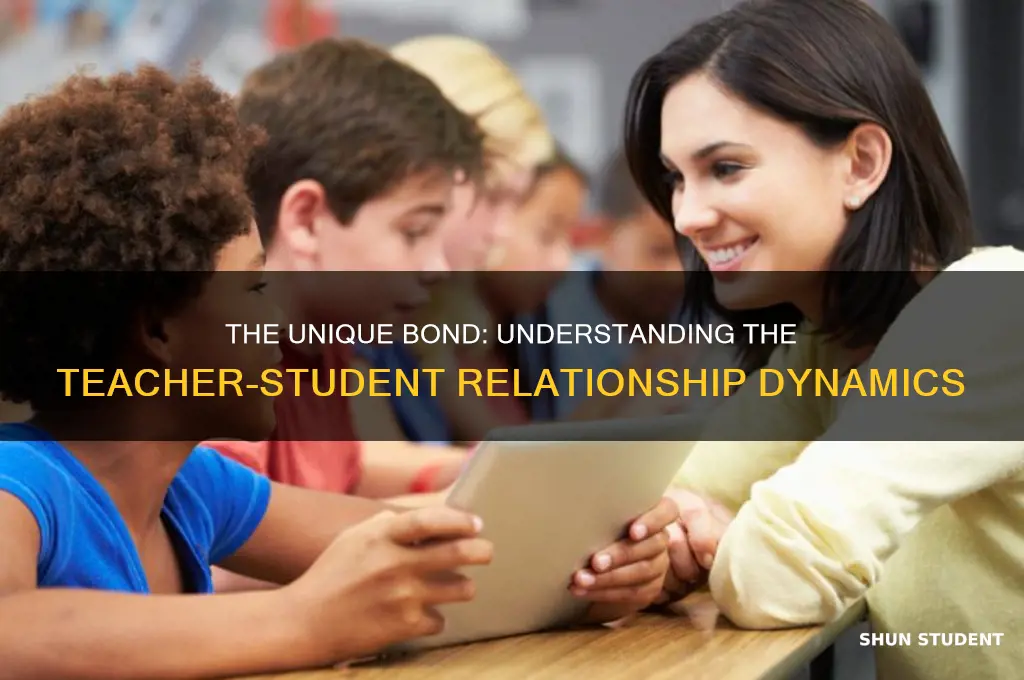 how do we call a relationship between teacher and student