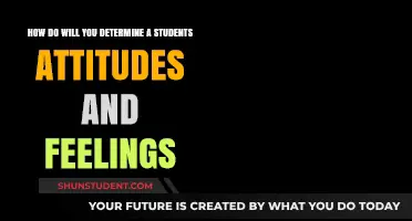 Understanding Student Attitudes: Effective Methods to Gauge Emotions and Mindsets