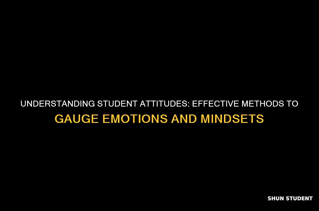 how do will you determine a students attitudes and feelings