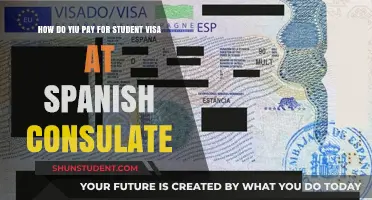 Paying for Your Student Visa: Spanish Consulate Guide