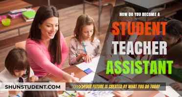 Steps to Becoming a Student Teacher Assistant: A Comprehensive Guide