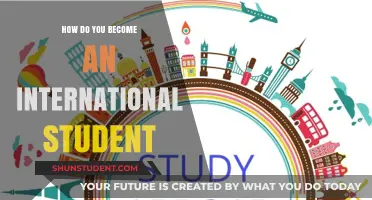 Becoming an International Student: Steps to Success