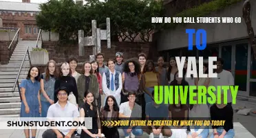 The Elite Ivy Leaguers: Yale University Students